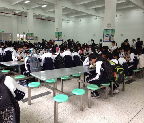 智慧餐飲服務(wù)與教育咨詢 一站式解決方案，助力企業(yè)發(fā)展