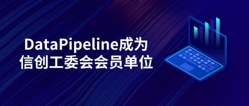 datapipeline正式成為信創(chuàng)工委會(huì)會(huì)員單位，致力為世界級(jí)用戶提供更優(yōu)質(zhì)產(chǎn)品和服務(wù)